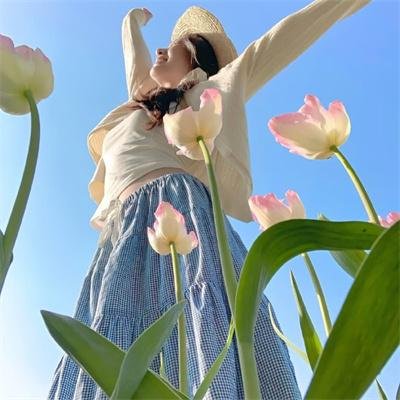 阿菠萝计划